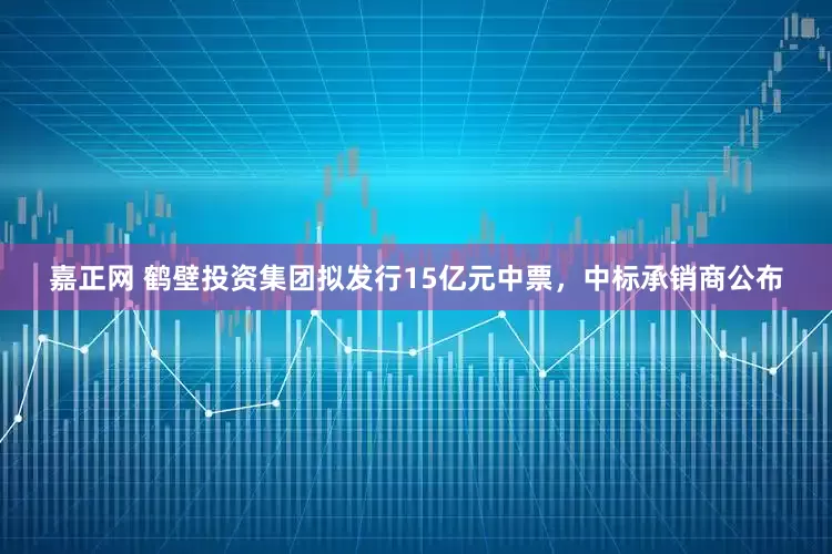 嘉正网 鹤壁投资集团拟发行15亿元中票，中标承销商公布