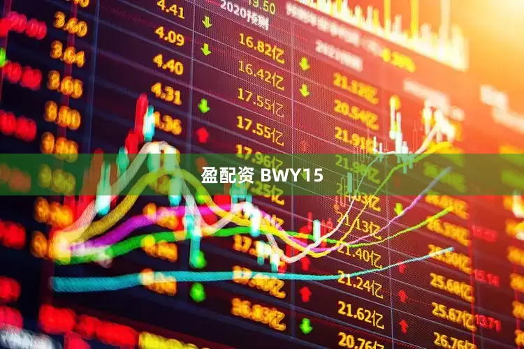 盈配资 BWY15